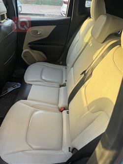 جيب رينيجيد